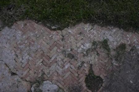 Villa Petrinum B&B - 12