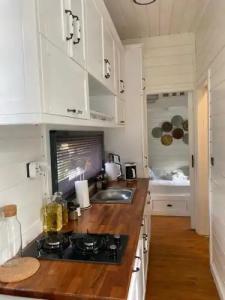 Vagona Tiny House - 20