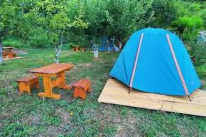 Camp Sunny Hills, Virpazar