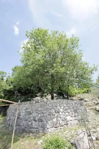 Village house in Sotonici-Crmnica - 7