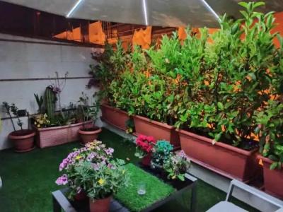 La Luna E Il Sole - 22