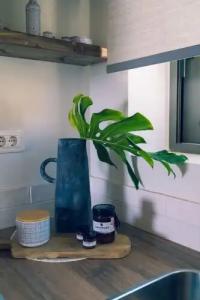 Pignolia Suites - Adults Only - 92