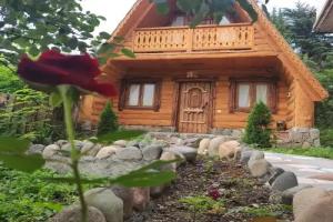 Old Dili, Dilijan