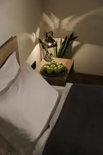 Dilijan Freedom By Tiny House Designe - 31