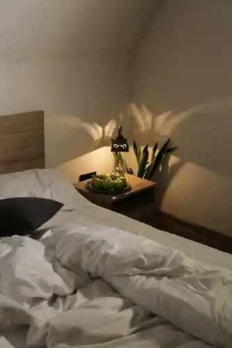 Dilijan Freedom By Tiny House Designe - 40