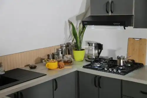 Dilijan Freedom By Tiny House Designe - 48