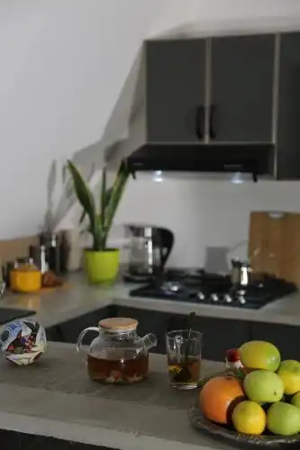 Dilijan Freedom By Tiny House Designe - 57