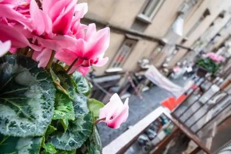 B&B Napoli Time - 17