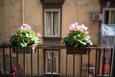 B&B Napoli Time - 58