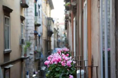 B&B Napoli Time - 100