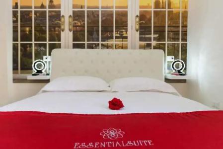 Essential Suite B&B Botanic - 15