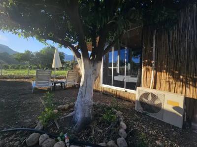 Orange Beach Camp - 47