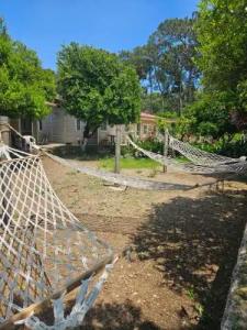 Orange Beach Camp - 58