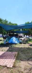 Orange Beach Camp - 11