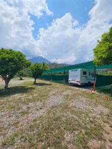 Orange Beach Camp - 16