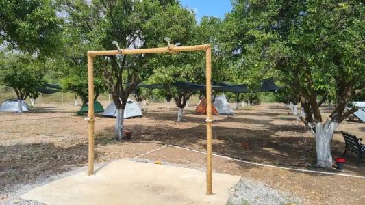 Orange Beach Camp - 6