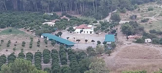 Orange Beach Camp - 43