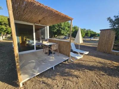 Orange Beach Camp - 46