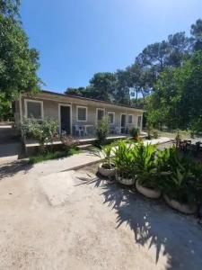 Orange Beach Camp - 1