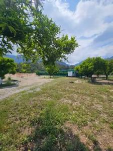 Orange Beach Camp - 56