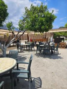 Orange Beach Camp - 23