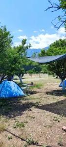 Orange Beach Camp - 12