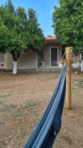 Orange Beach Camp - 62