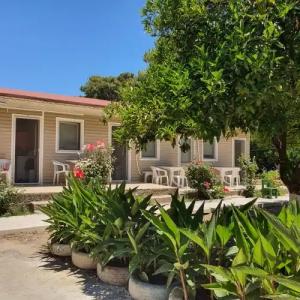 Orange Beach Camp - 0