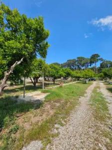 Orange Beach Camp - 19