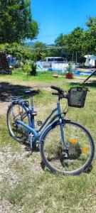 Orange Beach Camp - 53