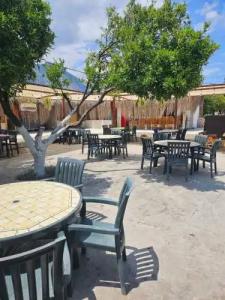 Orange Beach Camp - 61