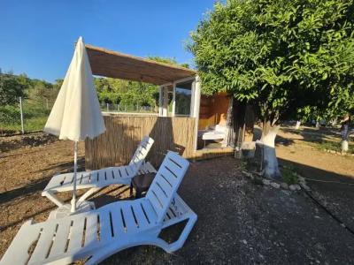 Orange Beach Camp - 49