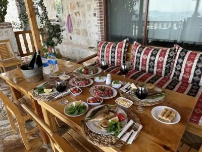 Istlada Tas EV Apart - 110