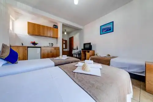 Apartments Pedja Zec - 6