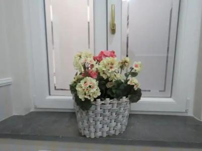 Olimpo degli Dei - 54