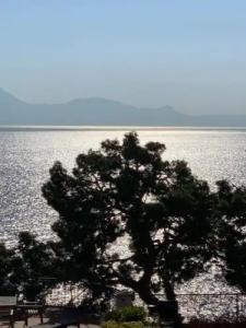 PrimoPianoPosillipo - 14