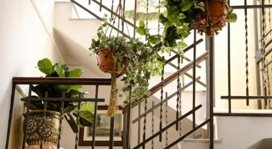 Antica Dimora Deluxe - 14