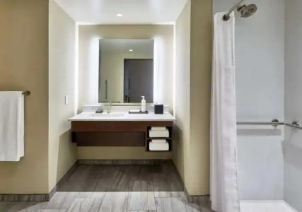 Embassy Suites by Hilton Nashville Downtown - 93