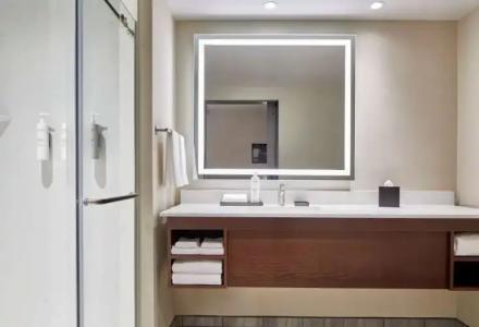 Embassy Suites by Hilton Nashville Downtown - 53