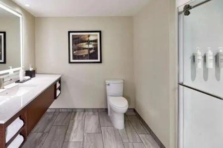 Embassy Suites by Hilton Nashville Downtown - 10