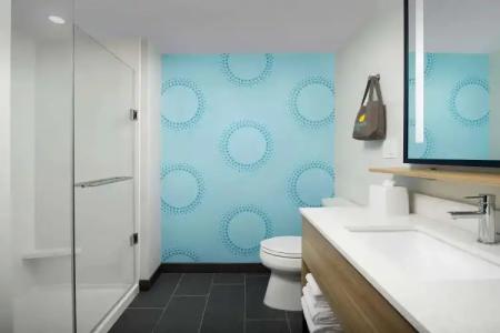 Hilton Garden Inn Miami Airport South Blue Lagoon, FL - 33