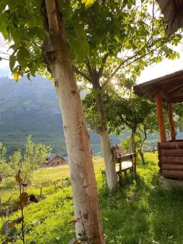 Dedushi Guest house - 11