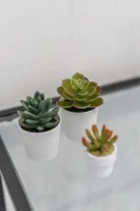 Doria Suites Napoli - 13