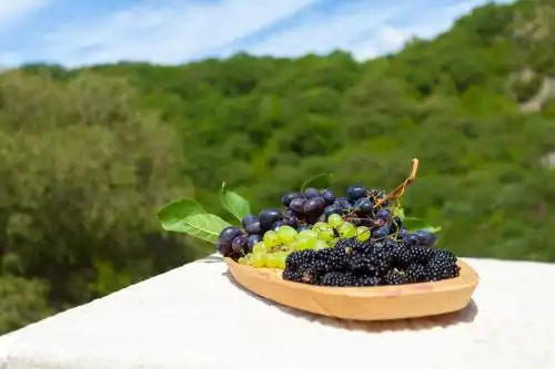 Eco Village Buljarica - 23