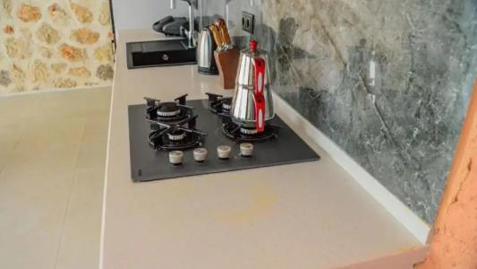 Zen - 2 Bedroom with jacuzzi in Kalkan Çayköy - 17