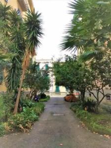 Non CI Resta Che Napoli - 14