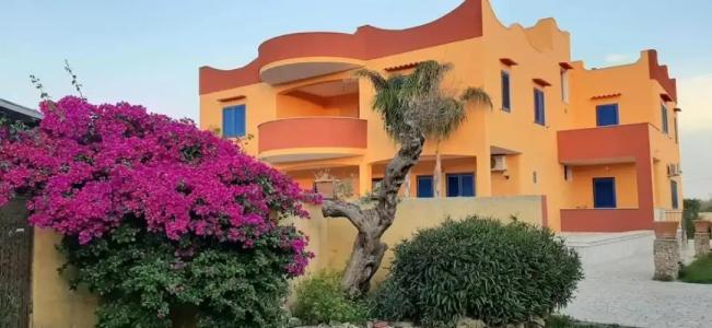 B&B Terra e Colori - 21