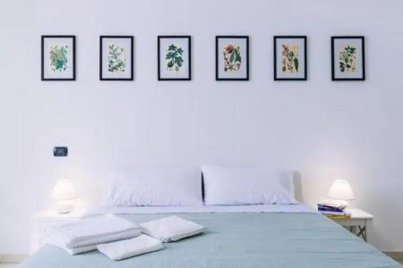 Pangea e Panthálassa B&B - 13