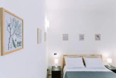 Pangea e Panthálassa B&B - 7