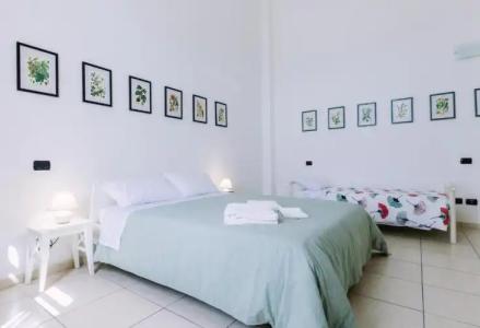 Pangea e Panthálassa B&B - 12